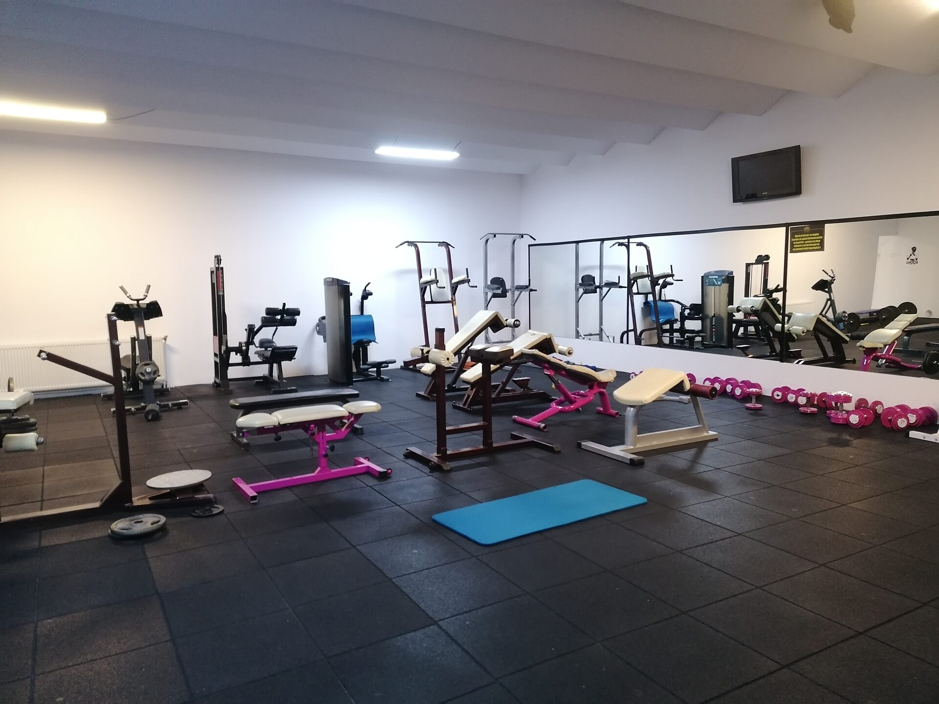 Sala de fitness pentru femei, de la etaj: aparate și bănci pe podea de cauciuc, gantere mici pe rastel și perete de oglinzi pe toată lungimea.